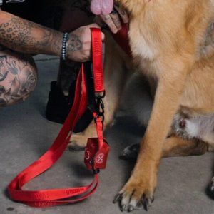 Dixxon Flannel Co. Red Poly Dog Leash Adjustable Length - NEW